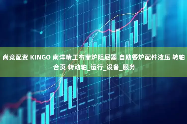 尚竞配资 KINGO 南洋精工布菲炉阻尼器 自助餐炉配件液压 转轴 合页 转动轴_运行_设备_服务