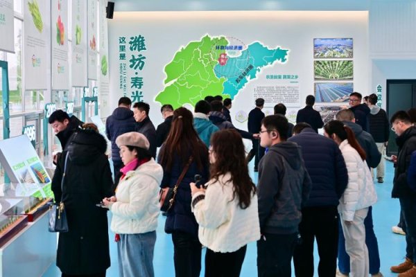 易云达 绿动齐鲁 数智赋能 | 数字赋能“寿光模式” 科技“犁”出智慧农业新图景